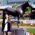 海老原 雄二/Yuji Ebihara(LEX) (@ebi_ug) Twitter profile photo 海老原 雄二/Yuji Ebihara(LEX) (@ebi_ug) Twitter profile photo