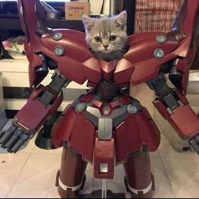 frostfrits's profile picture. dalekkkk