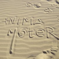 Ànima mater associació (@materanima) 's Twitter Profile Photo