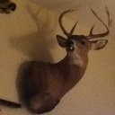 Austin Shoemaker - @shoeyrocks - Twitter