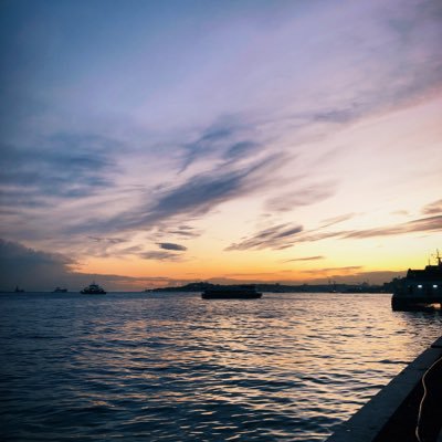 worldmtmc's profile picture. 