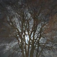 Lord thetruthisoutthere(@thetrut24674216) 's Twitter Profile Photo Lord thetruthisoutthere(@thetrut24674216) 's Twitter Profile Photo