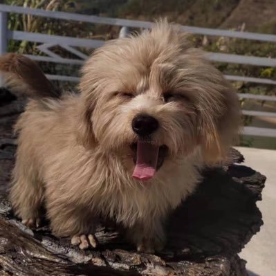 hejian17927239's profile picture. 😂