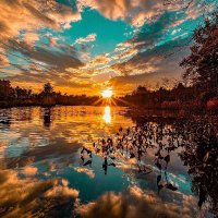 asdasdasda (@asdasda83077726) Twitter profile photo