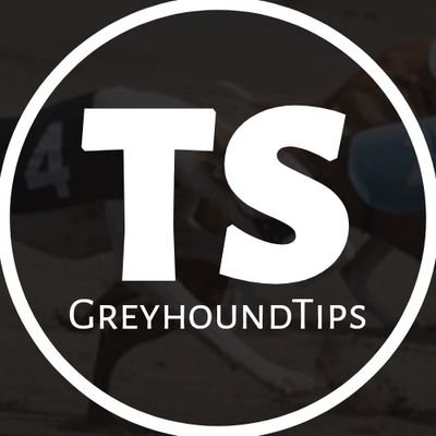 TSGreyhoundTips's profile picture. 💯High quality greyhound tips posted here each & every day ALL of my research 📔 are included with selections🔞plus