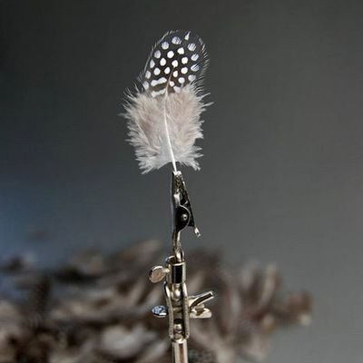 JaneEdden's profile picture. 