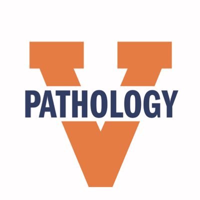 University of Virginia’s Pathology Residency Program: providing excellent patient care, stellar education, and innovative research in Charlottesville, Virginia.