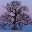 Kent Kilpatrick - @golfmiway - Twitter