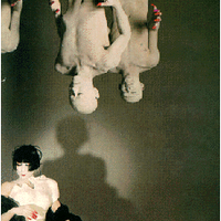 Alexander  Besher (@cloud_0) 's Twitter Profile