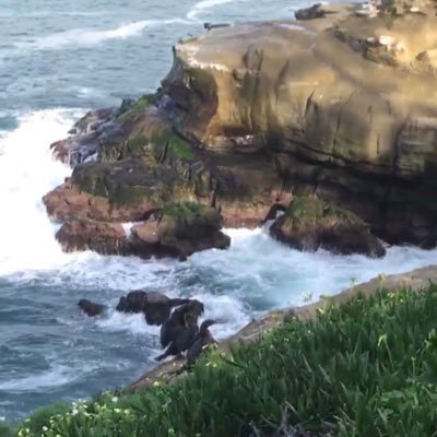 montaha99's profile picture. الله المستعان