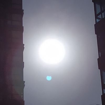 ltmaxmon's profile picture. SWE