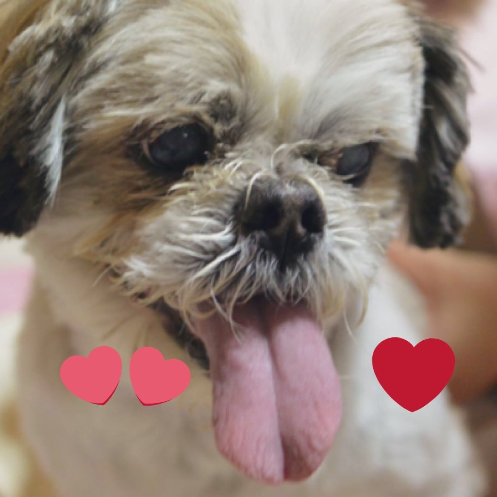 aichan293's profile picture. 