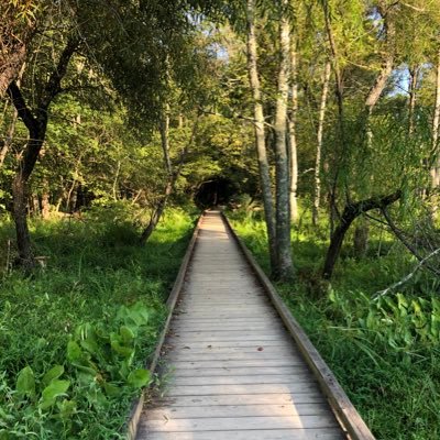 Alfaronoble's profile picture. 