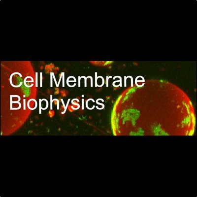 Cell Membrane Biophysics, University of Potsdam, Germany. Investigating virus assembly using quantitative fluorescence microscopy