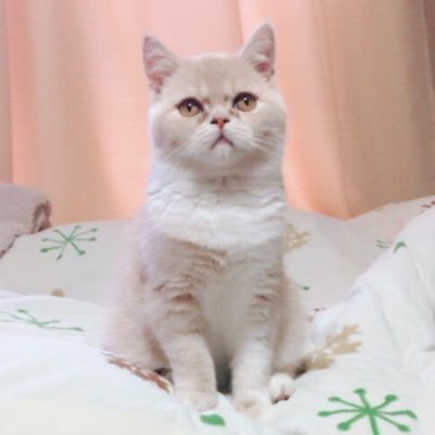 an_ko1225's profile picture. 愛知の自動車部品メーカーサラリーマン|1歳児と4歳児パパ| QIDI X-MAX3運用中