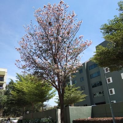 chinni569's profile picture. Indian