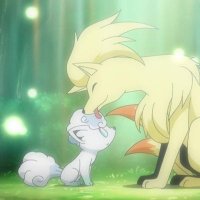 えり (@eri_poke_) 's Twitter Profile