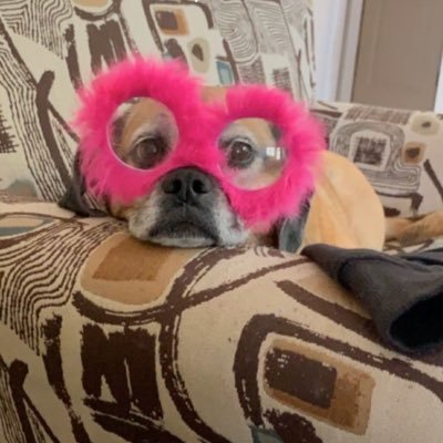 Debtahsin's profile picture. 