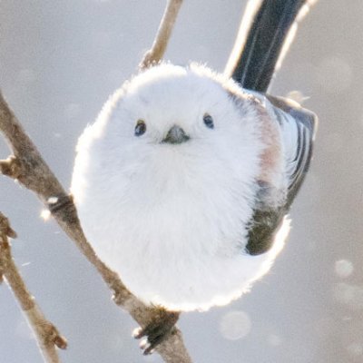 空き缶のプロフィール写真