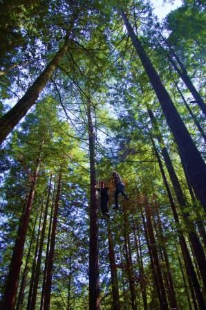 ChallengeCourse's profile picture. 