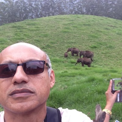 Dilip1007's profile picture. Embrace life as the next meteor strike could give rise to dinosaurs again!