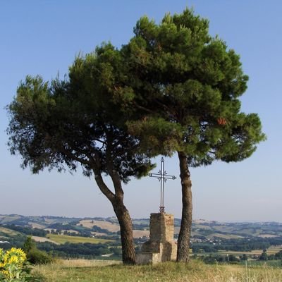 «Il cielo e la terra passeranno, ma le mie parole non passeranno». (Mt 24,35)
«LA VERITÀ vi farà liberi». (Gv 8,32)✝️IN HOC SIGNO VINCES