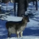 Dan Robillard - @alpha_squadron1 - Twitter