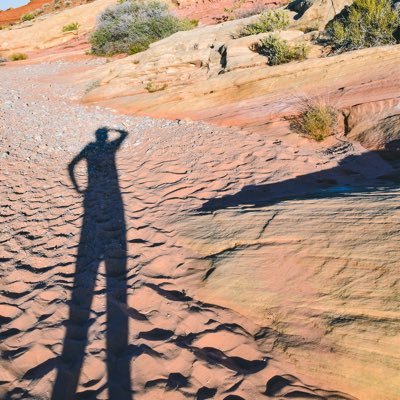 Travel Blogger #ClimateCrisis🌎 #NationalParks #WomensRights #PlantEater #MentalHealth #MeToo #BlackLivesMatter #VoteBlue #StandWithUkraine 🇺🇦 #FreePalestine