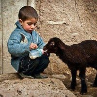 Uğur Baki (@ugurbakign) 's Twitter Profile