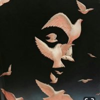 Aylin (@aylin_soz) 's Twitter Profile Photo