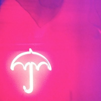 @sievefistedfind.bsky.social Profile