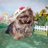 2TinyDoglets's profile image