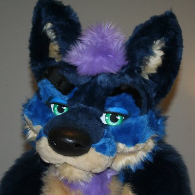 A naughty tiger trapped in a blue and purple fox fursuit. There will be lewd stuff.  18+ minors will be blocked.