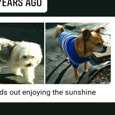 Melanie48594896's profile picture. Plants, animals, beach nature