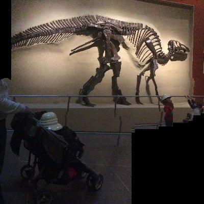 Tania45893740's profile picture. 