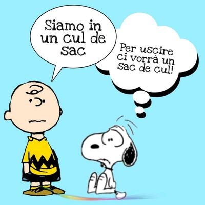 biro_marton's profile picture. 