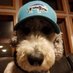 Eric Hoellrich (@ehoellrich) Twitter profile photo Eric Hoellrich (@ehoellrich) Twitter profile photo