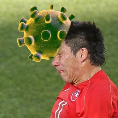 quenocanales's profile picture. 