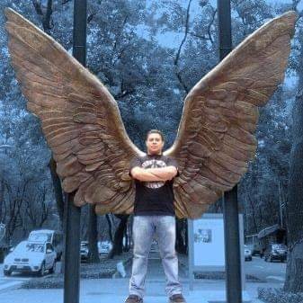 ntoni08's profile picture. 