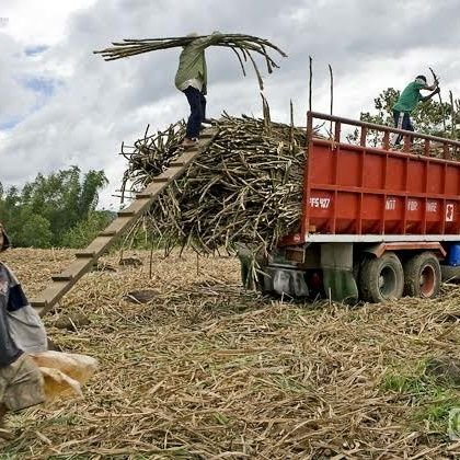 ECampesinos's profile picture. Denuncias de defraudación a campesinos
