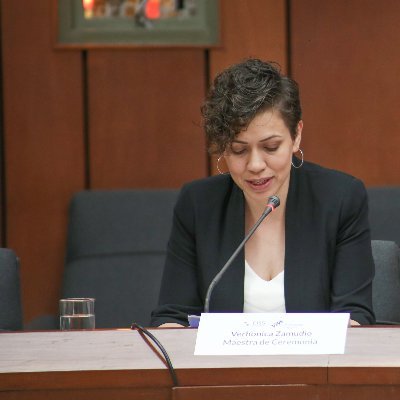 verhonicazs's profile picture. Doctora en Estudios Urbanos y Ambientales (COLMEX). Académica y consultora en protección social, riesgos socioambientales y gobernanza del agua.