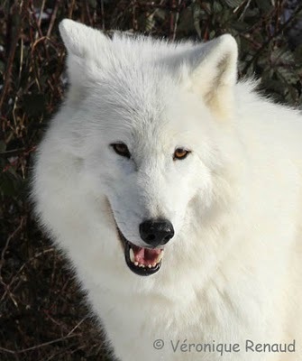 dkbombka's profile picture. 