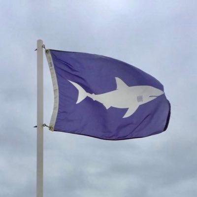 Comporta00's profile picture. 