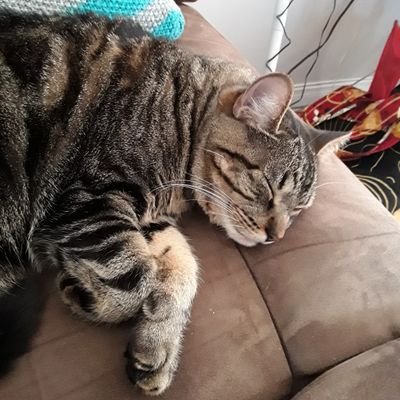 fannydavid7's profile picture. 