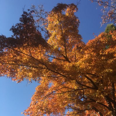 OKtJiPW0eDoypZK's profile picture. 