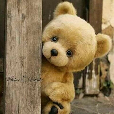 aboudi