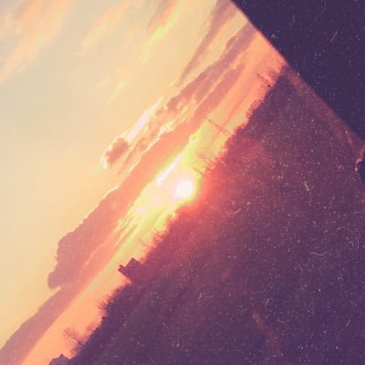 lenathelitschi's profile image