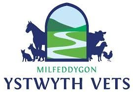 Vets in Aberystwyth, mixed practice , for all creatures great and small. Milfeddygon i greaduriaid o Bob lliw a llun.