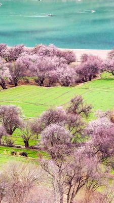 sipodemos1106's profile picture. 🤗