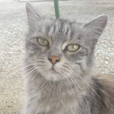 ardnas0's profile picture. subscribe to poods